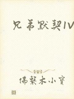 兄弟默契1V2