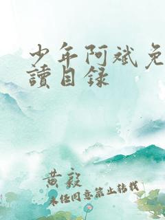少年阿斌免费阅读目录