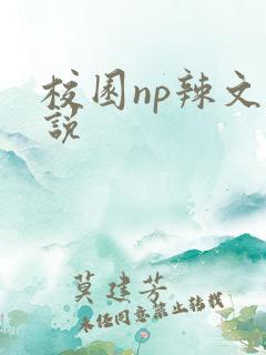 校园np辣文小说
