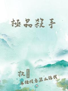极品杀手