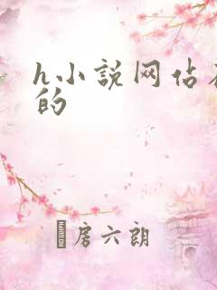 h小说网站在线的