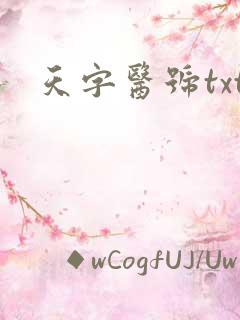 天字医号txt