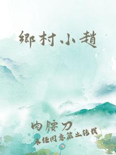 乡村小赵
