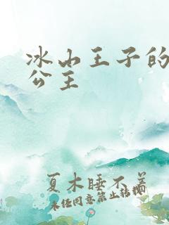 冰山王子的宝贝公主