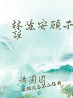 林忆安顾子铭小说