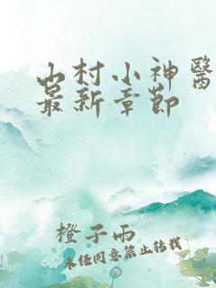 山村小神医陆凡最新章节