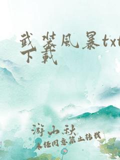 武装风暴txt下载