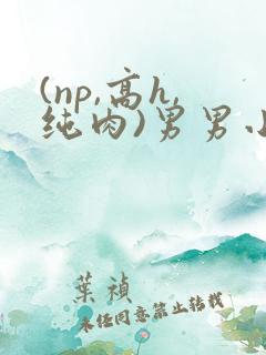 (np,高h,纯肉)男男小说