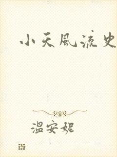 小天风流史小说
