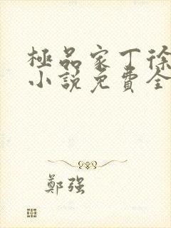 极品家丁徐芷晴小说免费全文在线
