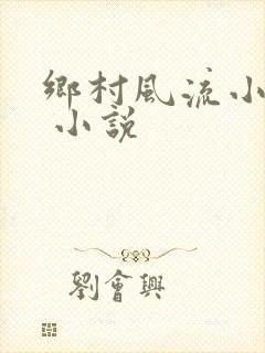 乡村风流小神医 小说