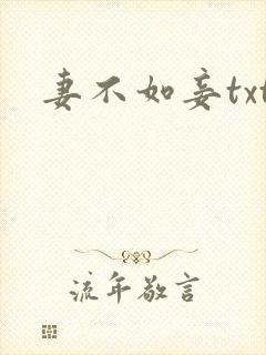 妻不如妾txt
