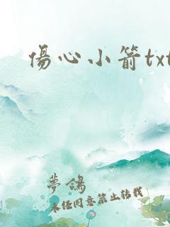 伤心小箭txt