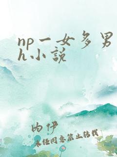 np一女多男高h小说