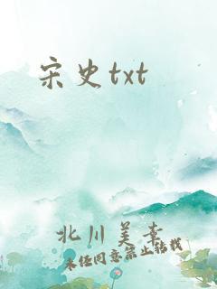 宋史txt