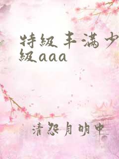 特级丰满少妇一级aaa