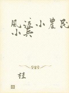 风流小农民之王小兵