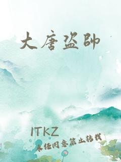 大唐盗帅