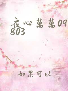 夜心万万090803