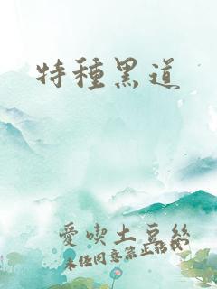 特种黑道