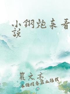 小钢炮来看我小说