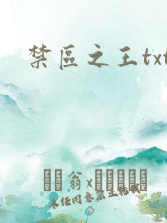 禁区之王txt
