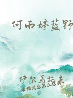 何雨婷蓝野铭