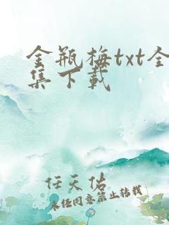 金瓶梅txt全集下载