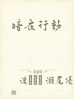 暗夜行动