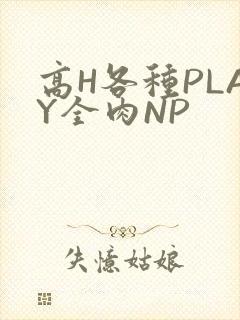 高H各种PLAY全肉NP