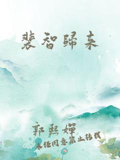 裴智归来