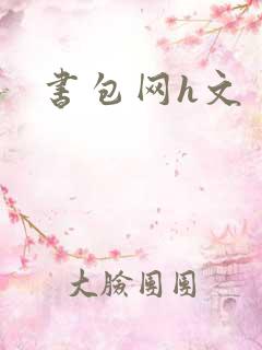 书包网h文