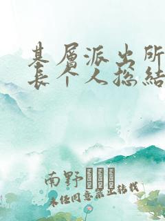 基层派出所副所长个人总结
