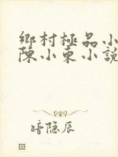 乡村极品小医仙陈小东小说在线阅读