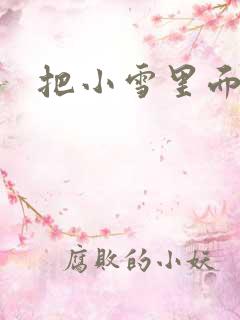 把小雪里面整满