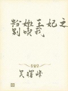 粉嫩王妃之殿下别吃我