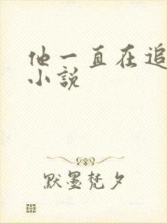 他一直在追初恋小说