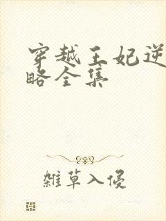 穿越王妃逆袭攻略全集