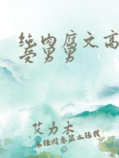 纯肉腐文高H总受男男
