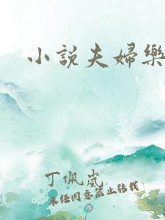 小说夫妇乐园