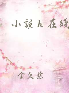 小说 h 在线