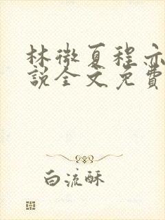 林微夏程亦风小说全文免费