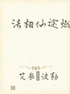 法相仙途燃文