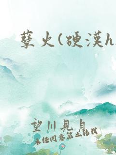 孽火(硬汉h)