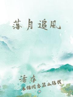 落月追风