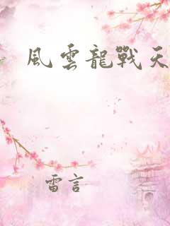 风云龙战天下