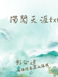 独闯天涯txt