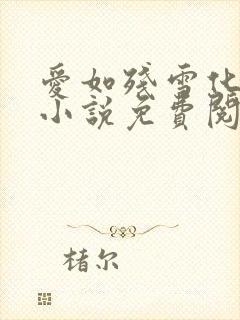 爱如残雪化无声小说免费阅读