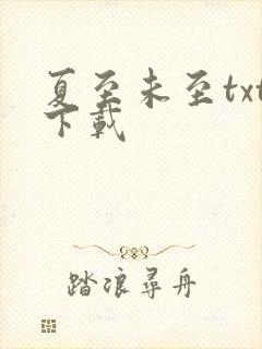 夏至未至txt下载