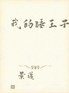 我的睡王子殿下